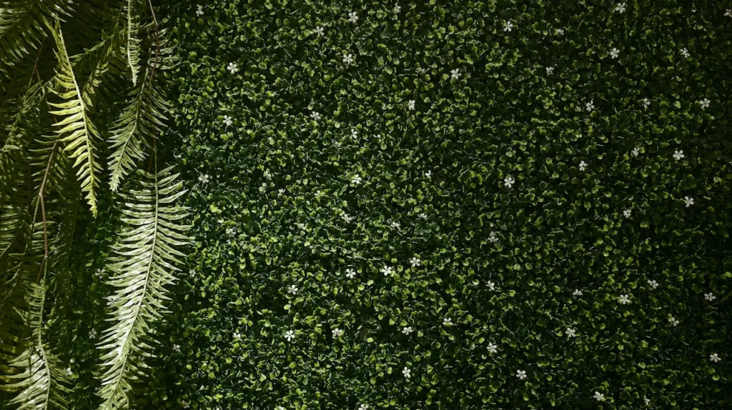 Artificial green wall installation in Dubai outdoor landscape creative exteriors