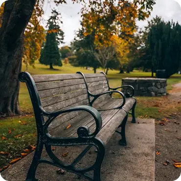 Classic Wooden Bench - Premium Outdoor Seating by Creative Exterior Dubai